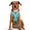 American River Choke Free Dog Harness Holiday Collection